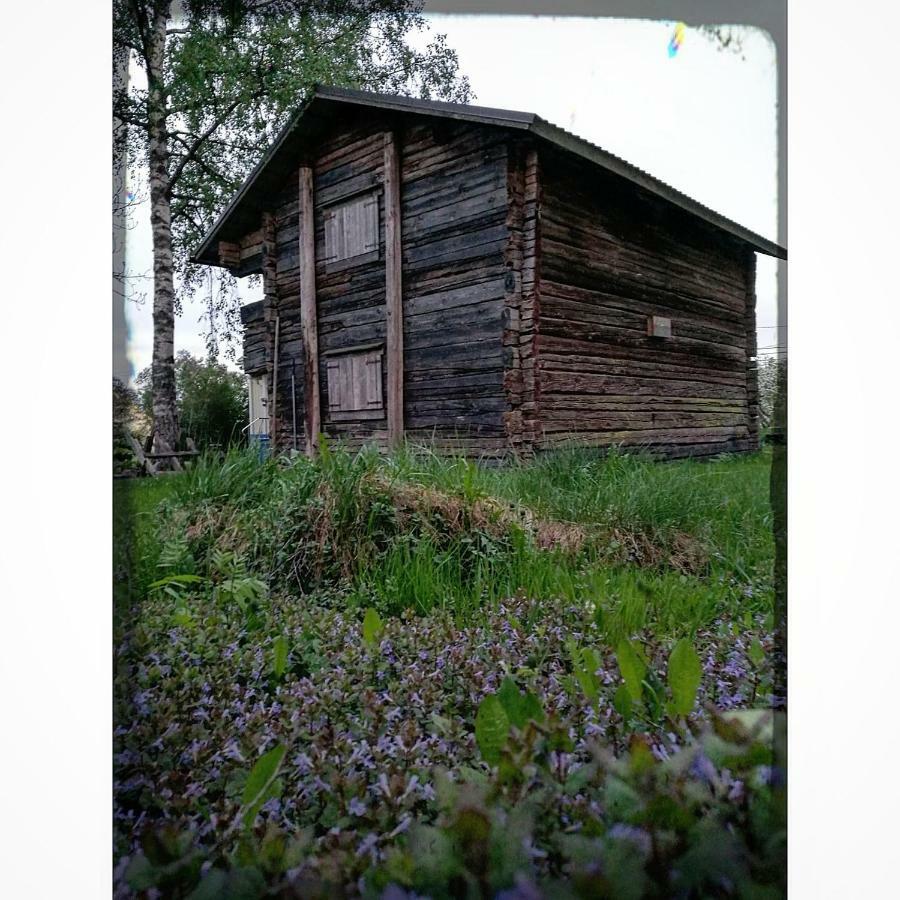 Willa Mustijoki Laukkoski Exterior photo